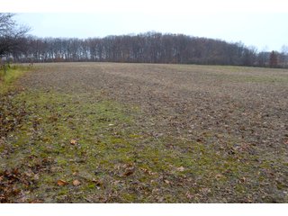 Property photo 25 - FARM AUCTION - 60.5+/- ACRES IN 5 TRACTS IN ALLEN COUNTY, INDIANA